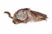 brooch: fabrics, chalcedony rose, wood, shell, glass beads