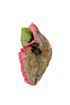 brooch: fabrics,  abelone, chalcedony rose, snail shells, glass beads